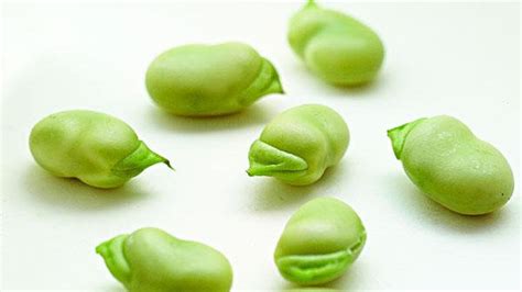吃蠶豆的好處與壞處都有哪些