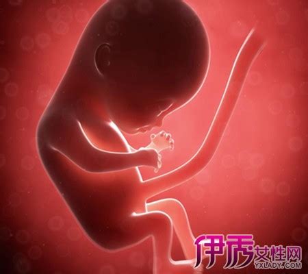 怀孕六个月胎心多少是正常