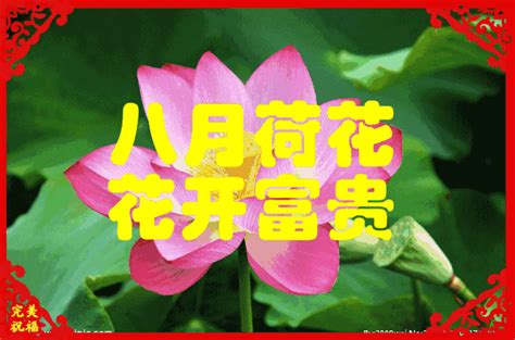 三月三生日朋友圈文案