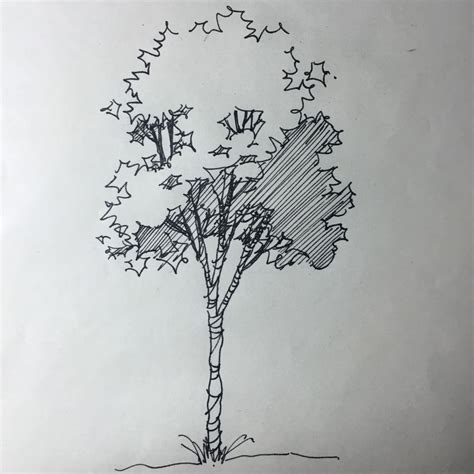 我爱校园里的大树-写树的作文400字【经典10篇】