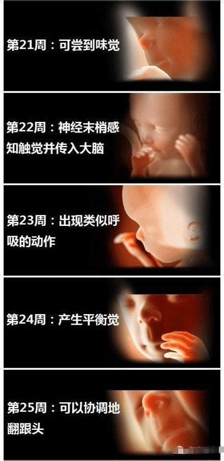 胎儿发育小了两周怎么办