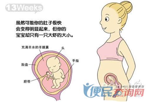 怀孕3周需要注意什么问题