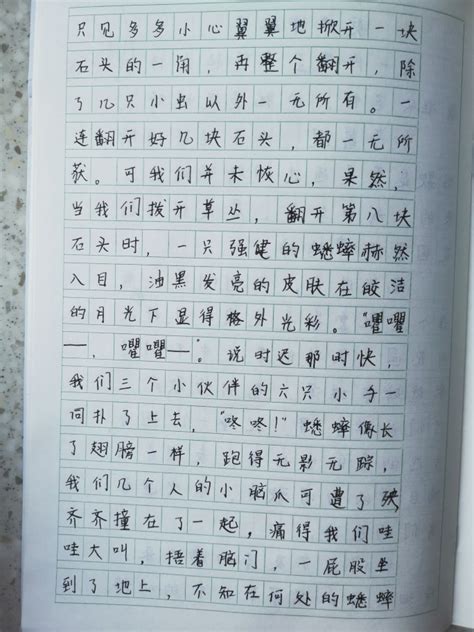 中山公园-二年级写景作文300字【经典7篇】