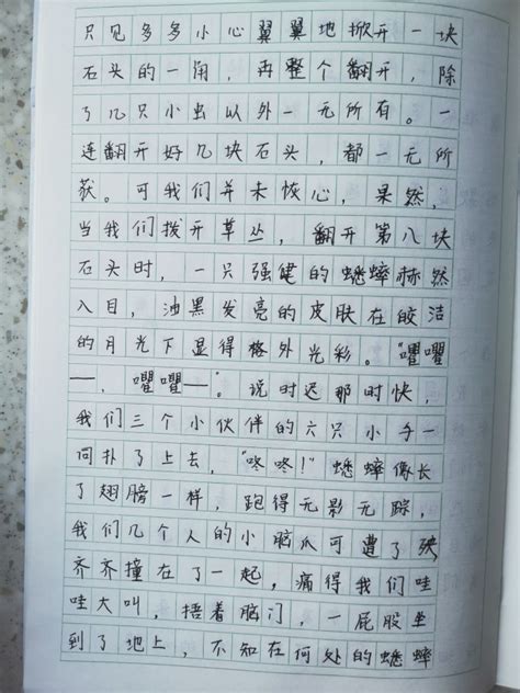 中山公园-二年级写景作文300字【经典7篇】