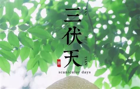 5月的朋友圈说说【集锦78句】