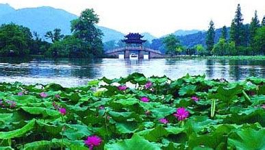 美丽的西湖-写景作文450字(共计6篇)