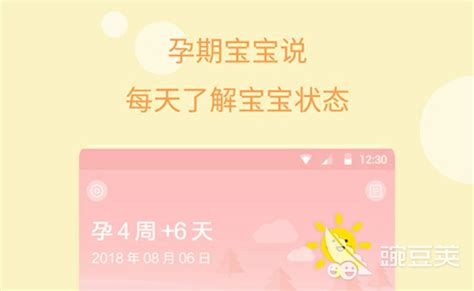 怀孕用什么APP