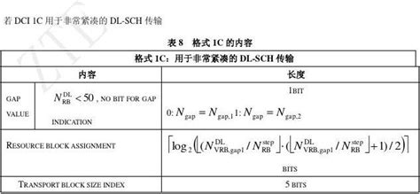 DCI格式是什么意思
