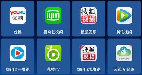 在迪拜哪一种网络视频软件最好用