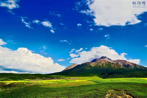 内蒙古哪里的草原最美？