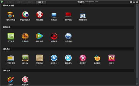 目前網絡上什么播放器比較好用?