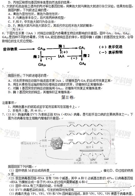 卵子质量不好怎么调理