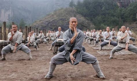 什么电影有蛇拳.虎拳.成龙……