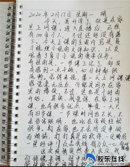 【这里真好玩】-小学生日记作文550字(合计5则)