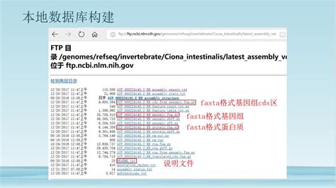 fna文件如何打开