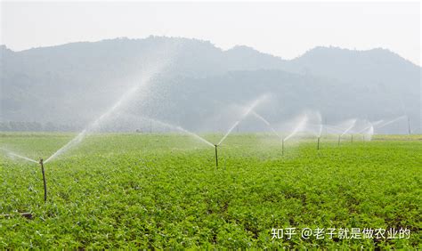 农田灌溉喷灌种类，使用的设备有哪些