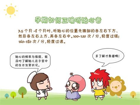 胎心位置图解
