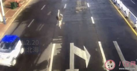 鸵鸟头上街头狂奔