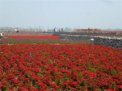 美丽的东台山作文（优秀6则）