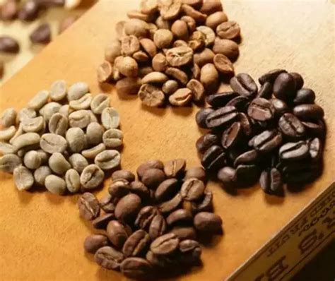 什么咖啡豆适合中度烘焙