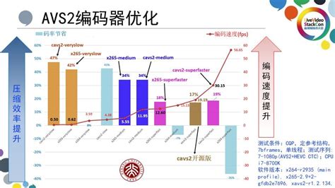 这段AVS编码有什么错误