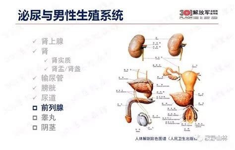 生殖科检查