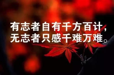 激励团队共勉的句子正能量