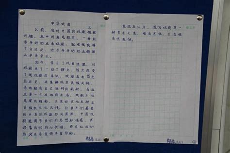 散步-日记作文250字(经典4篇)