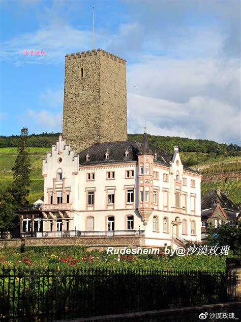 年产2700万瓶葡萄酒的酒城，是德国雷司令的故乡