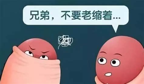 包茎粘连是什么意思