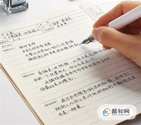 《鲁西西传》读书笔记300字【共计4则】