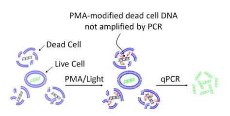 一公斤等于0.1pma 120pma等于多少公斤