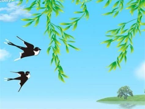 燕子-小动物作文700字(共8篇)