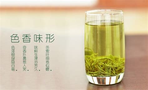 洞庭碧螺春屬于什么茶 洞庭碧螺春