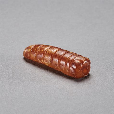 蚕蛹批发价格