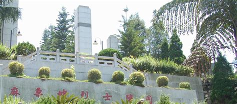 云南文山麻栗坡邮编