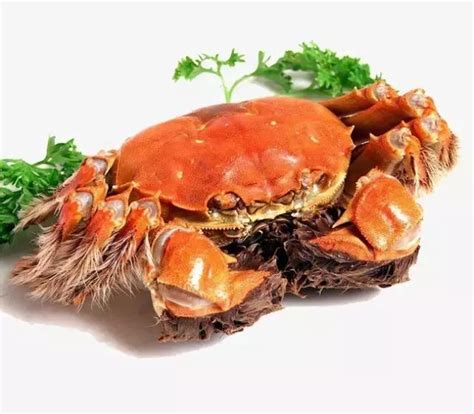 月经期间是不是不能吃螃蟹