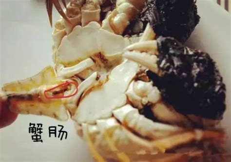 多吃螃蟹真的会流产吗？