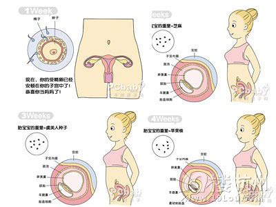 怀孕后子宫最怕5件事