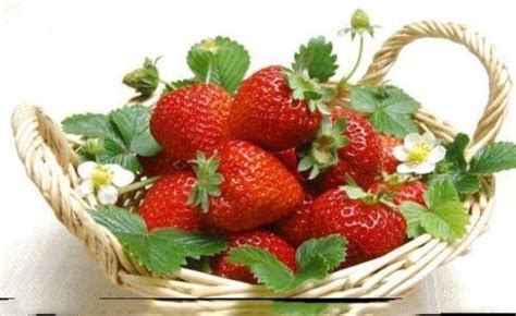 吃草莓对人体有什么好处?