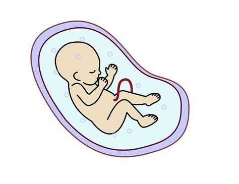 胎宝宝在腹中会有这三种表现吗？有这些症状视为聪明宝宝呢
