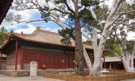 北京法海寺对外开放吗