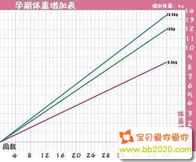 孕20-24周体重增长多少