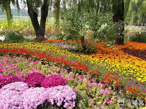 郑州最大的人工景观园林是哪一座？