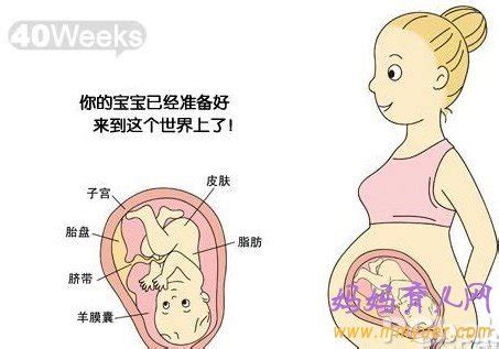 怀孕五个月体重没增加正常吗