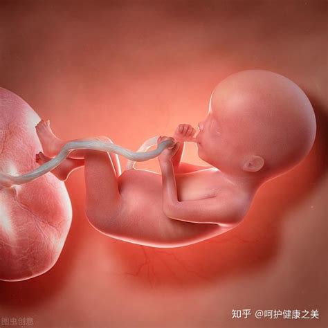 胎儿被脐带绕颈死亡