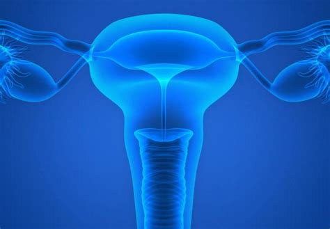 女人卵巢为什么会早衰