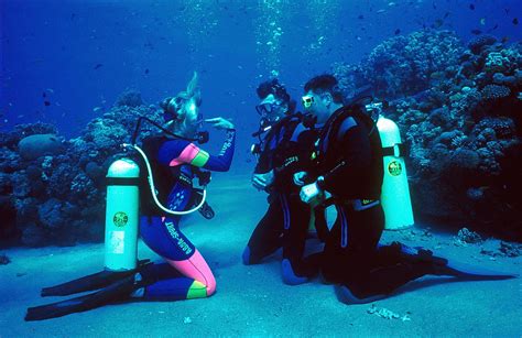 去薄荷岛学自由潜，那是潜入深海的快落呀