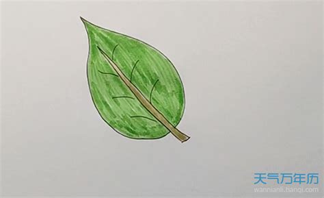 观叶植物如何修剪整形?