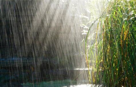 下雨哲学句子